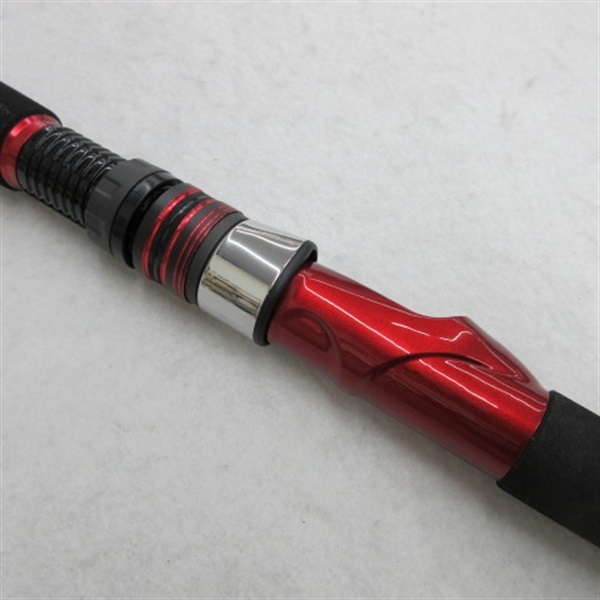 ２４アナリスターネライＭー２１０
